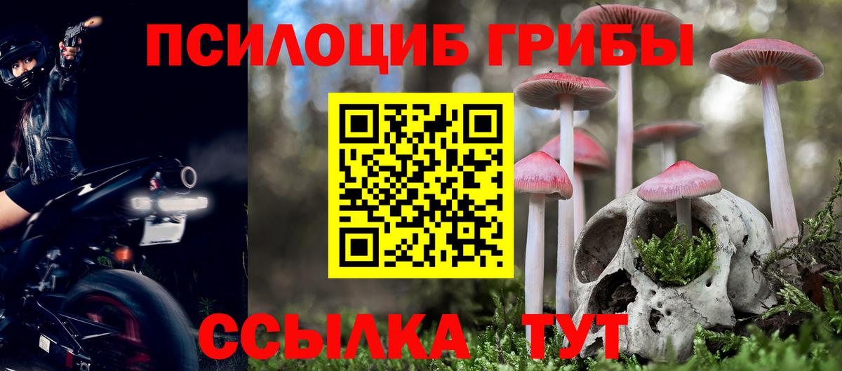 Вичуга  Галлюциногенные грибы ЛСД  Вход с VPN 